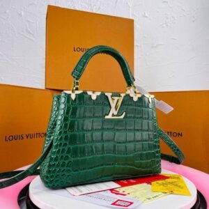 Louis Vuitton (large)