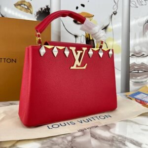 louis vuitton (large)